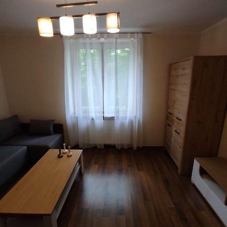 Obok Szczesliwej 7 Apartamento Gliwice Exterior foto